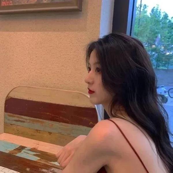 燕子盗