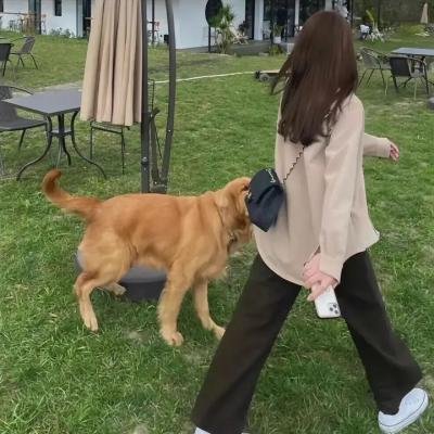 斯坦福监狱实验