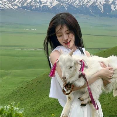 绝望主妇第八季